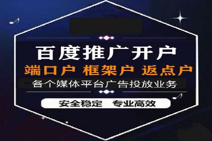 SEM推广实战：成功案例解读与策略调整